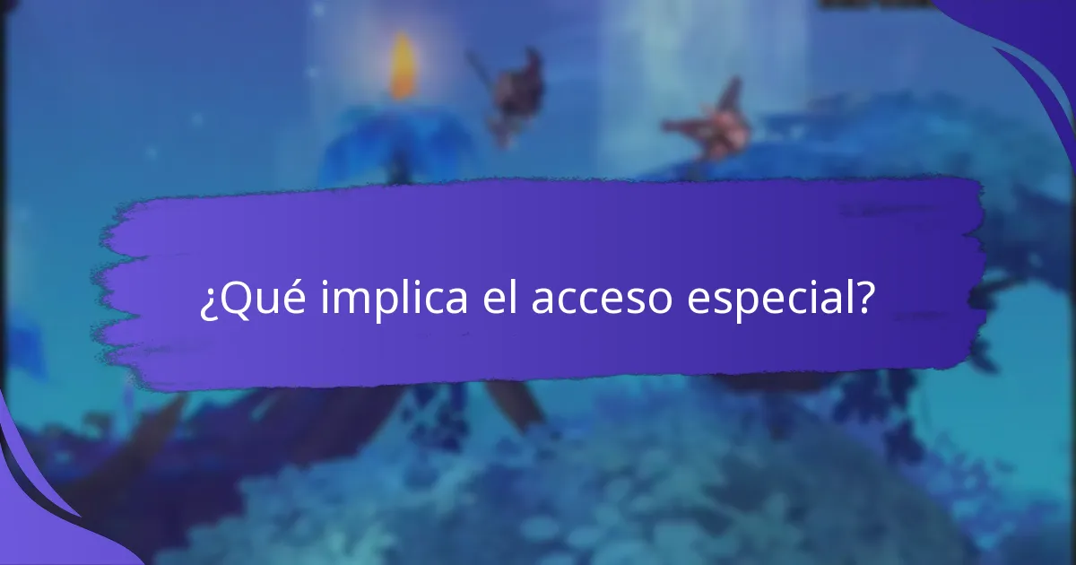 ¿Qué implica el acceso especial?